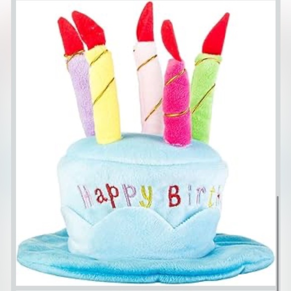 NWT Cute Adorable Blue Birthday Dog Birthday Cake Hat (One Size fits Most) - Picture 4 of 5